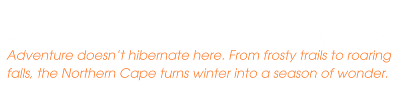 Experience Northern cape (500 x 200 px) (834 x 206 px) (2)